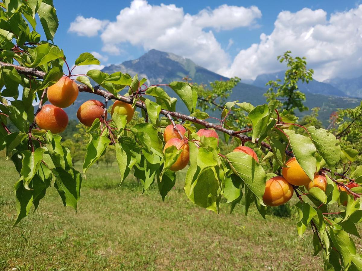 Frühstückspension La Giasena *