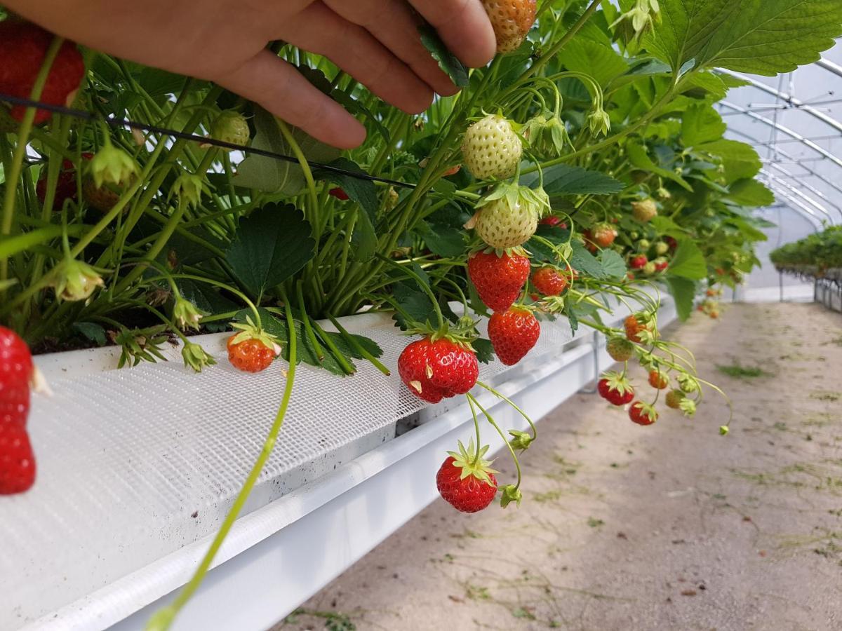 La Giasena Frühstückspension Ponte nellʼAlpi