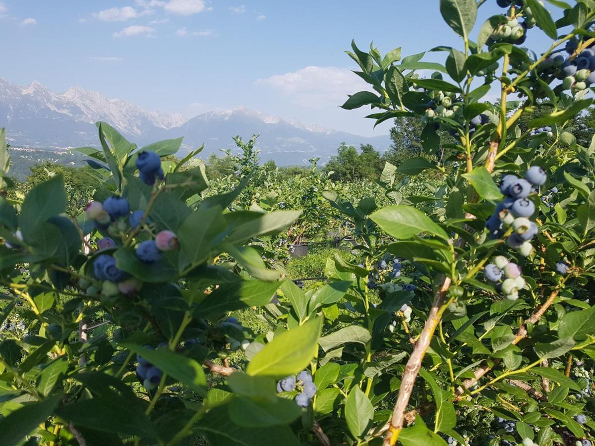La Giasena